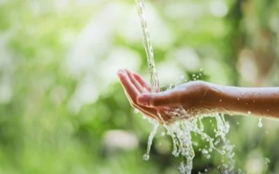 ¿Cómo tratar el Agua con Nitratos?