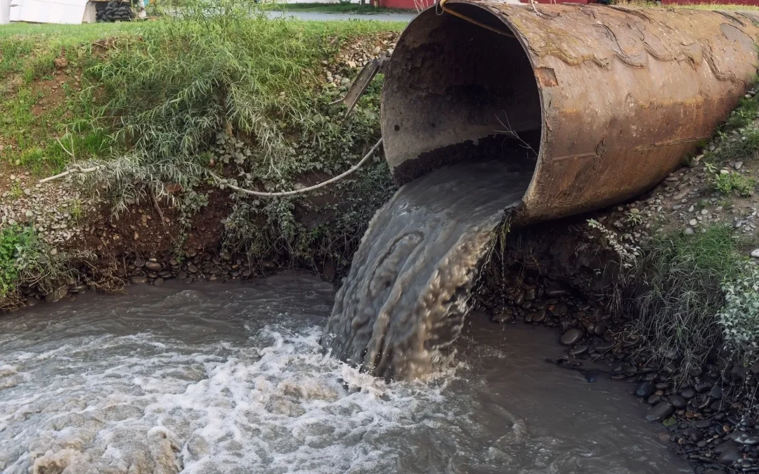Aigües residuals i el seu tractament