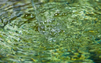 Nitrats a l’aigua d’Osona: Un problema seriós amb una solució professional